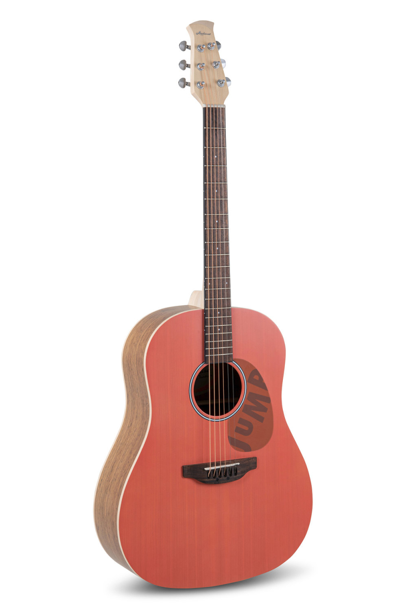Akustická gitara Applause  AAS-69-O Jump Slope Shoulder Dreadnought