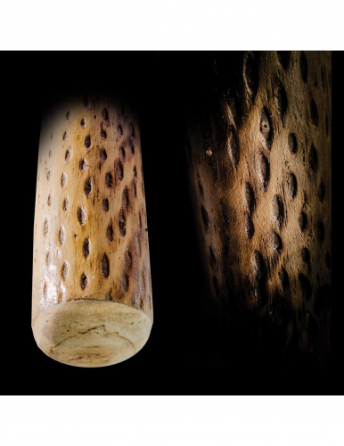 Dažďová palica (rainmaker) z kaktusu dĺžka 100 cm  priemer 4-6cm