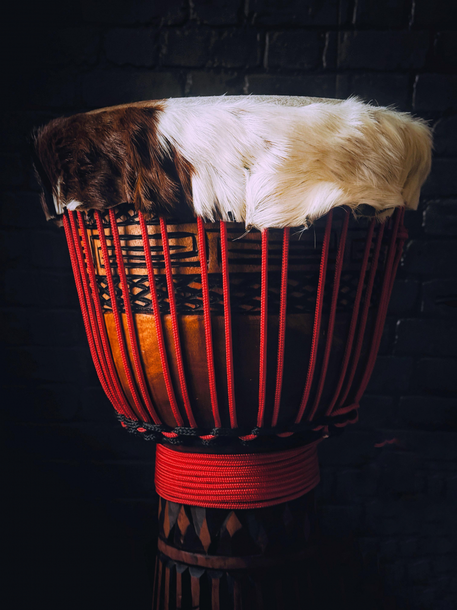 Djembe Mahagony Professional XL - Petrovič Drums